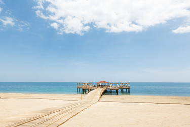 Similar image 11278695