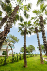 Similar image 11278698