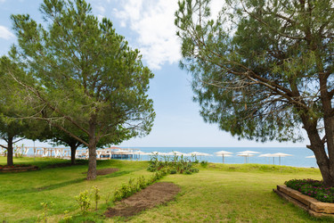 Similar image 11278699