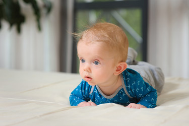 Similar image 11168039