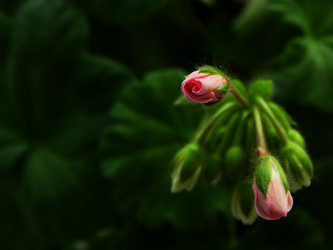 Similar image 11167227