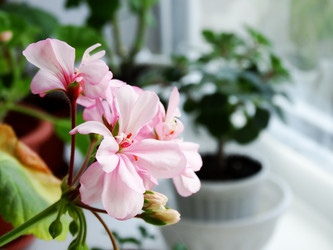 Similar image 11167230