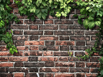 Similar image 11276748