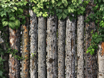 Similar image 11276749