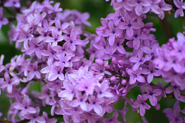 Similar image 11172121