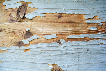 Similar image 11182579