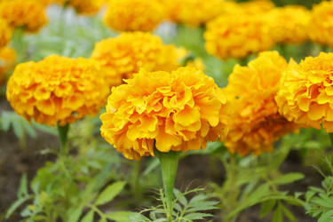 Similar image 11186945