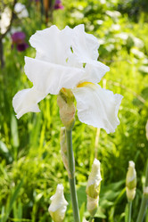 Similar image 11186947