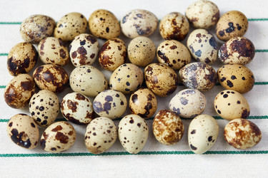 Similar image 11276574