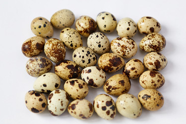 Similar image 11276575