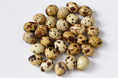 Similar image 11276577