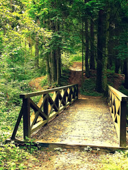 Similar image 11276941