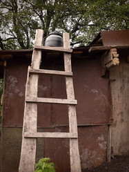 Similar image 11276954