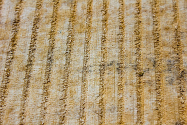 Similar image 11276584