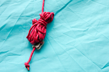 Similar image 11276578