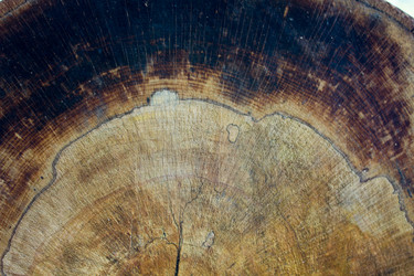 Similar image 11276585