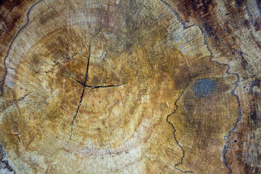 Similar image 11276586