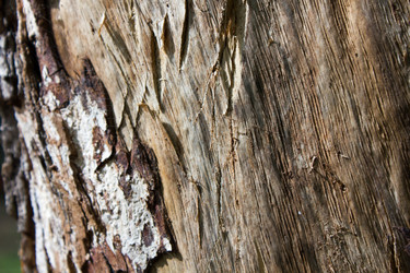 Similar image 11276579