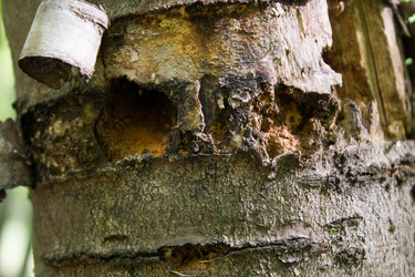 Similar image 11276580