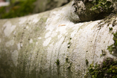 Similar image 11276581