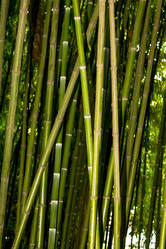 Similar image 11276709