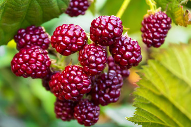 Similar image 11276710