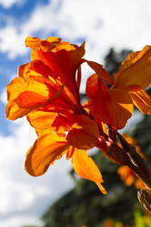 Similar image 11276715