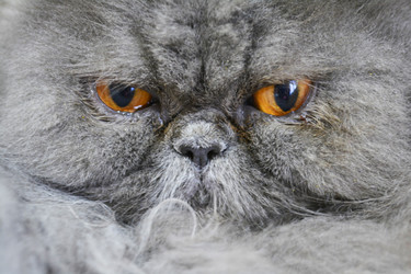 Similar image 11276491