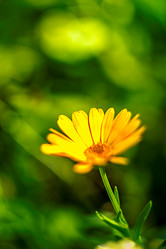 Similar image 11276421