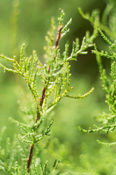 Similar image 11276422