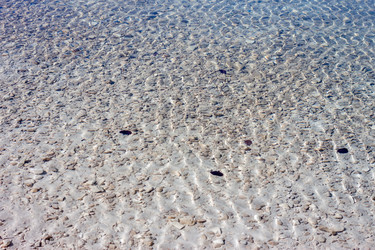 Similar image 11384734