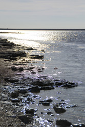 Similar image 11276431