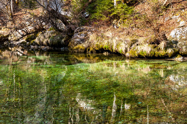 Similar image 11386555