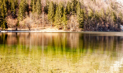 Similar image 11386560