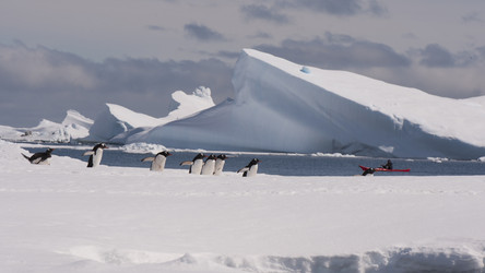 Similar image 11287678