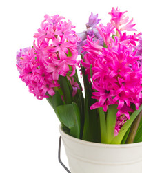 Similar image 11279969