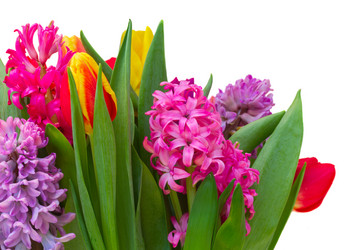 Similar image 11279972