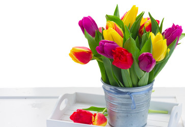 Similar image 11279933