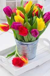 Similar image 11279934