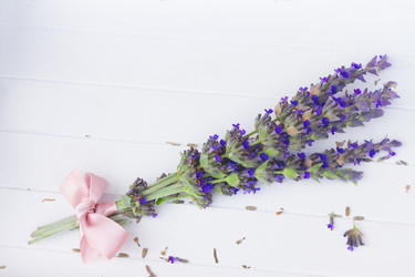 Similar image 11279911