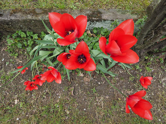 Similar image 11284297