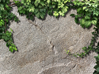 Similar image 11276730