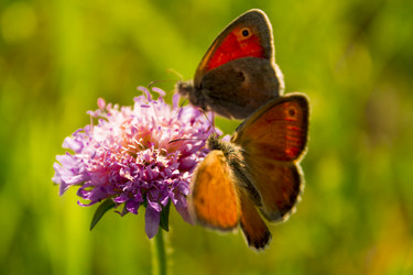 Similar image 11276718