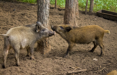 Similar image 11276721