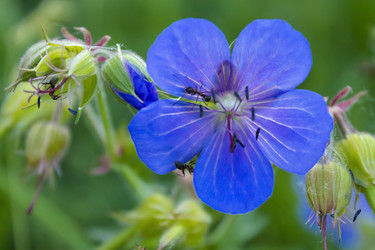 Similar image 11276724