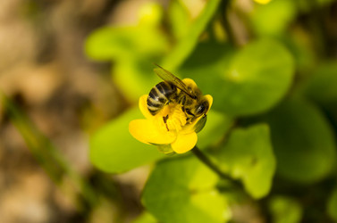 Similar image 11276731