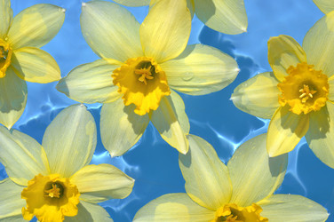 Similar image 11276369