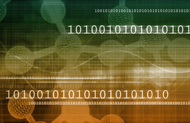 Similar image 11283848