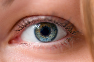 Similar image 11316303