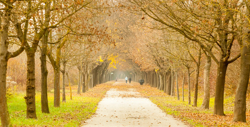 Similar image 11384940